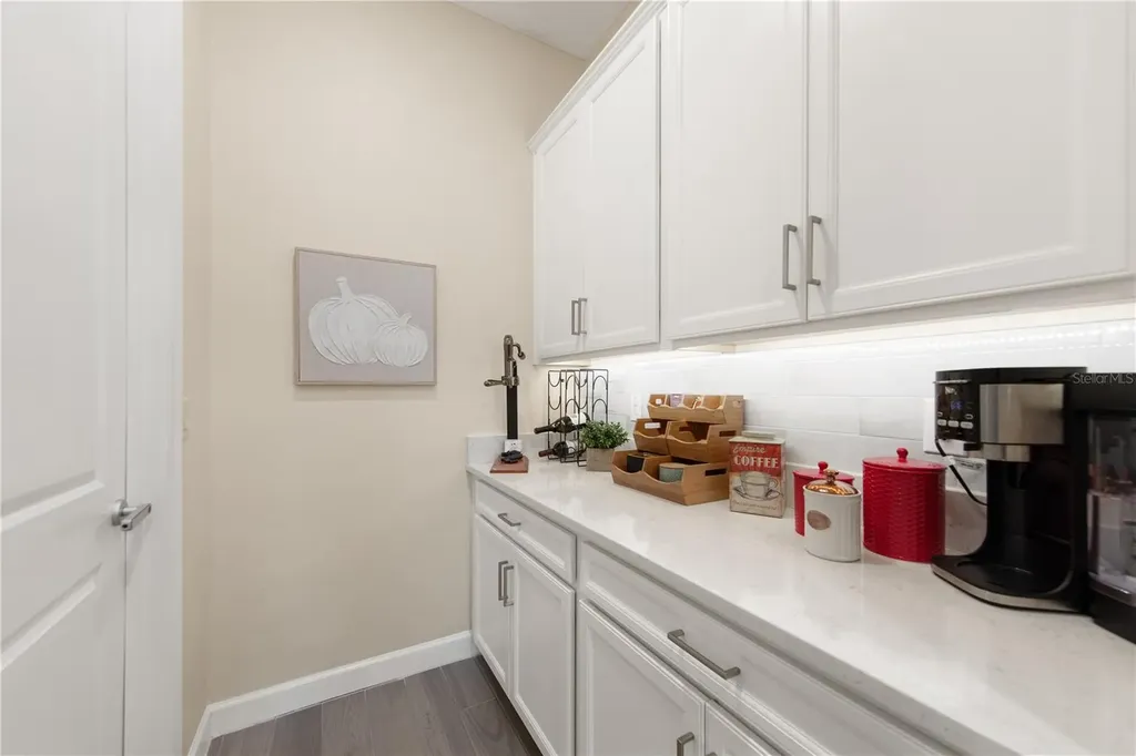 31476 Cabana Rye Avenue San Antonio FL 33576