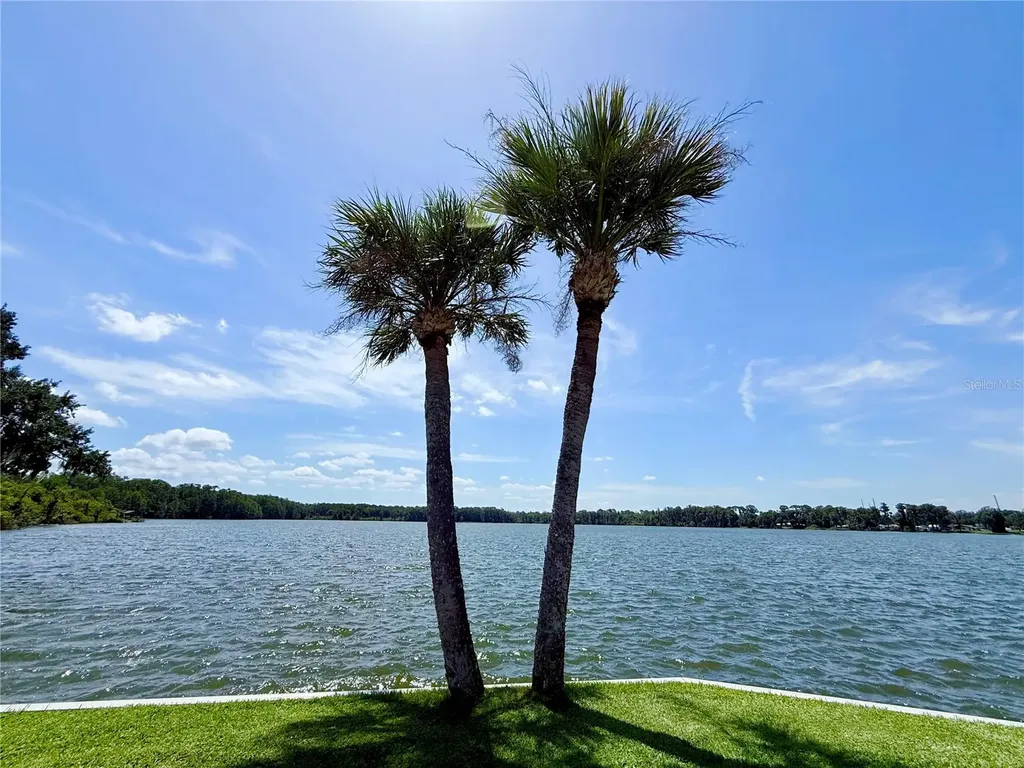 29 Club House Eustis FL 32726