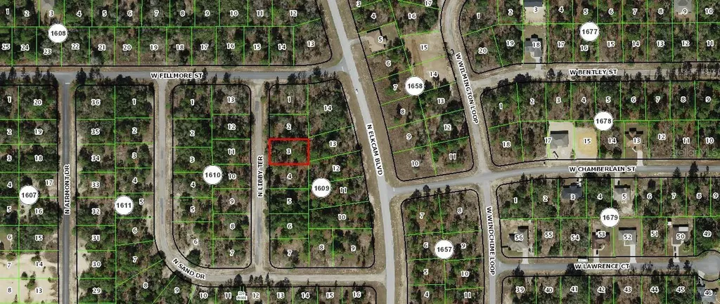 6673 N Libby Terrace Citrus Springs FL 34433