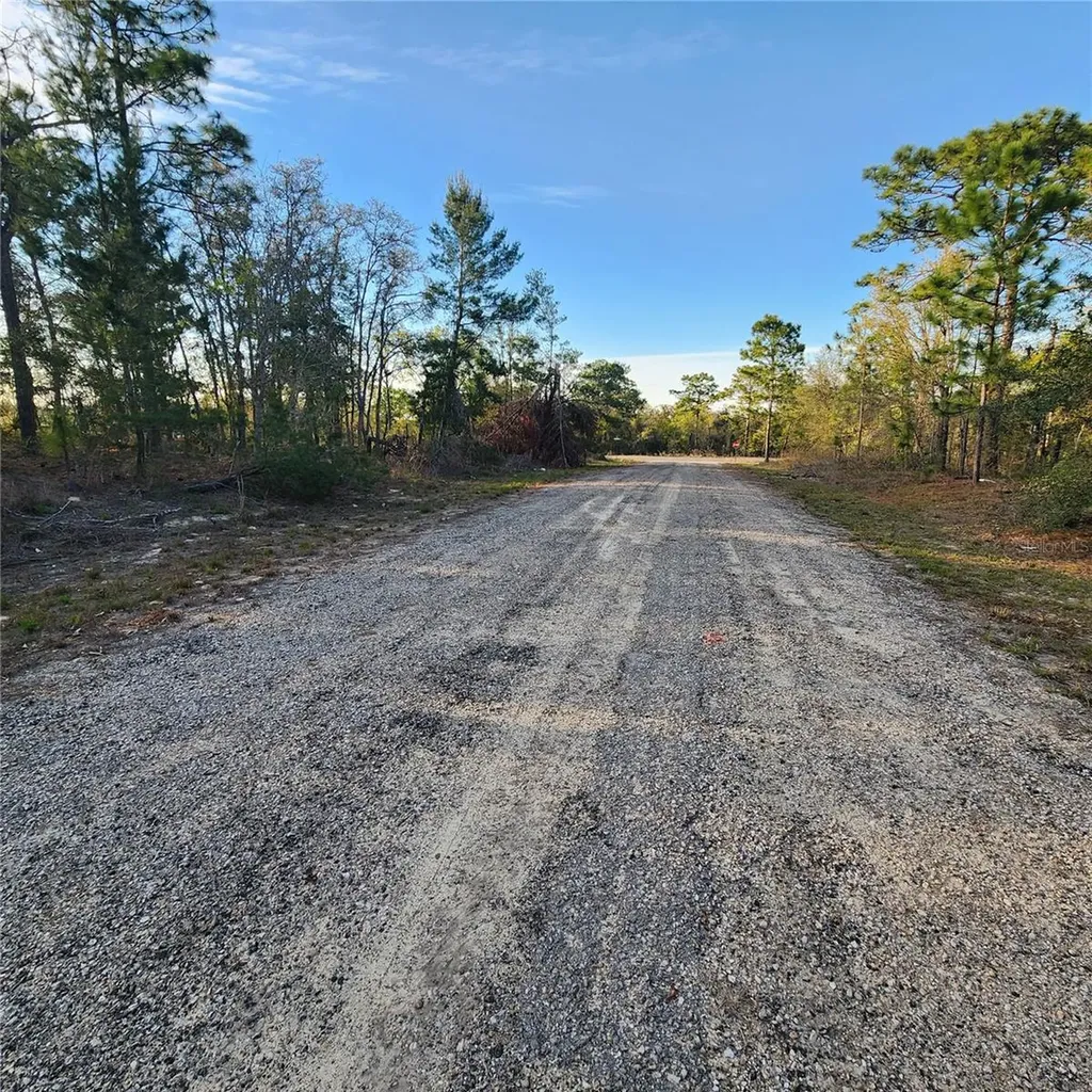 6673 N Libby Terrace Citrus Springs FL 34433