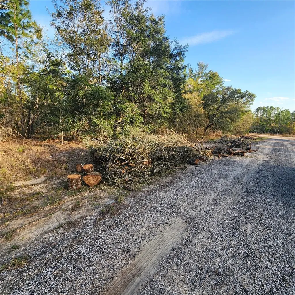 6673 N Libby Terrace Citrus Springs FL 34433