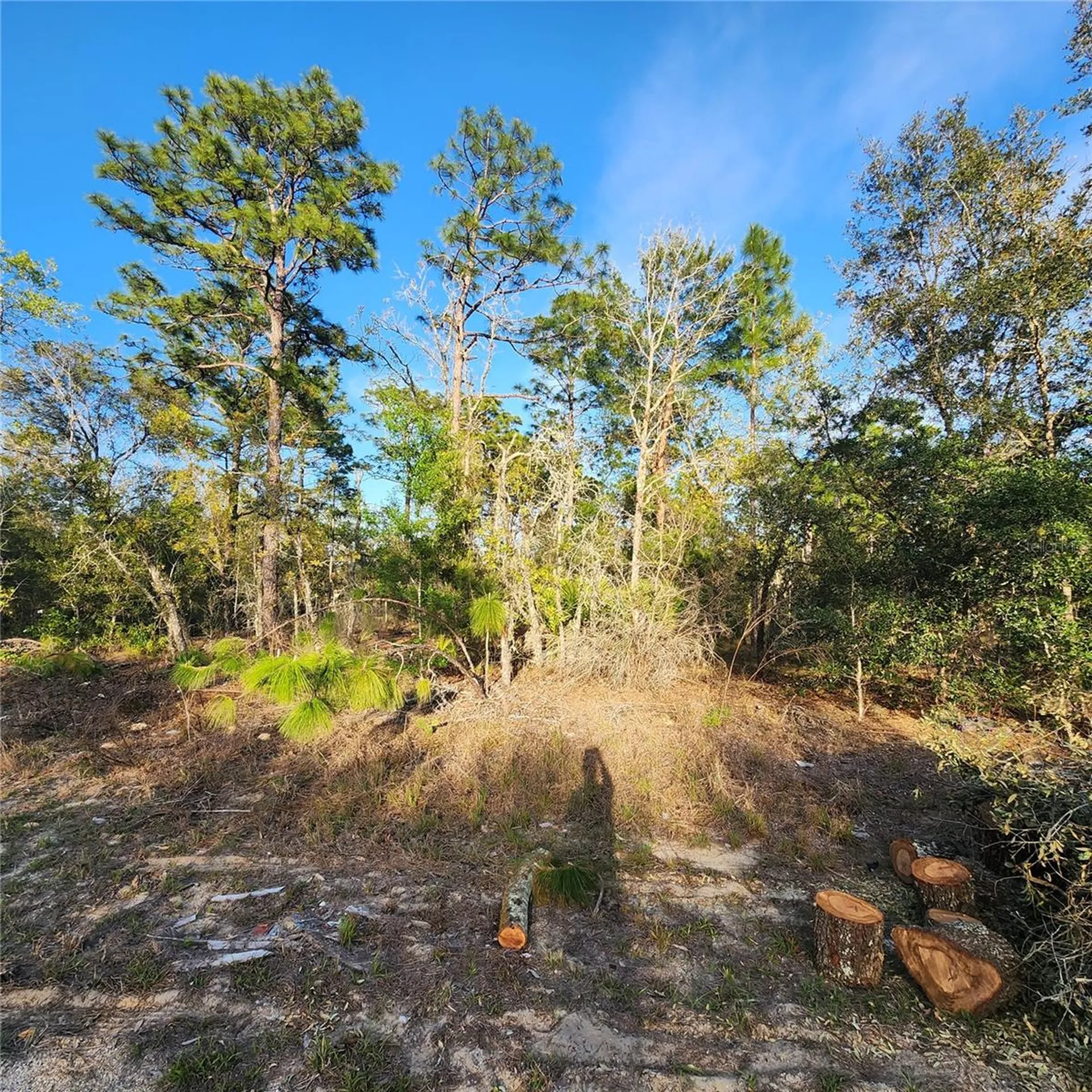 6673 N Libby Terrace Citrus Springs FL 34433