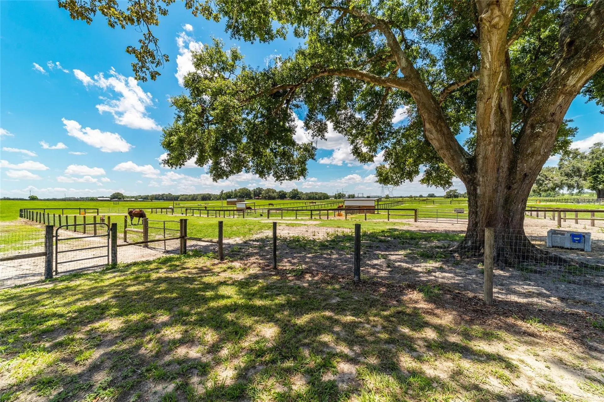 1285 NW 102nd Boulevard Wildwood FL 34785