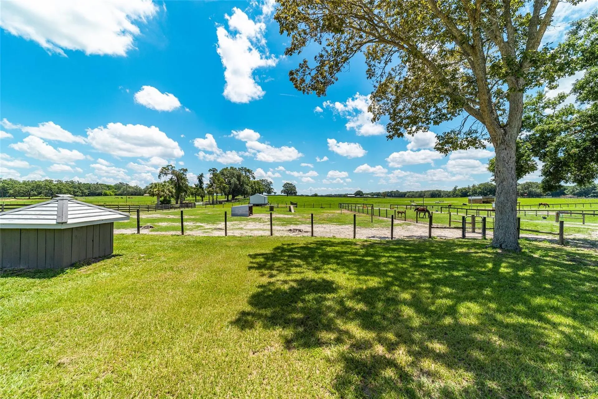 1285 NW 102nd Boulevard Wildwood FL 34785