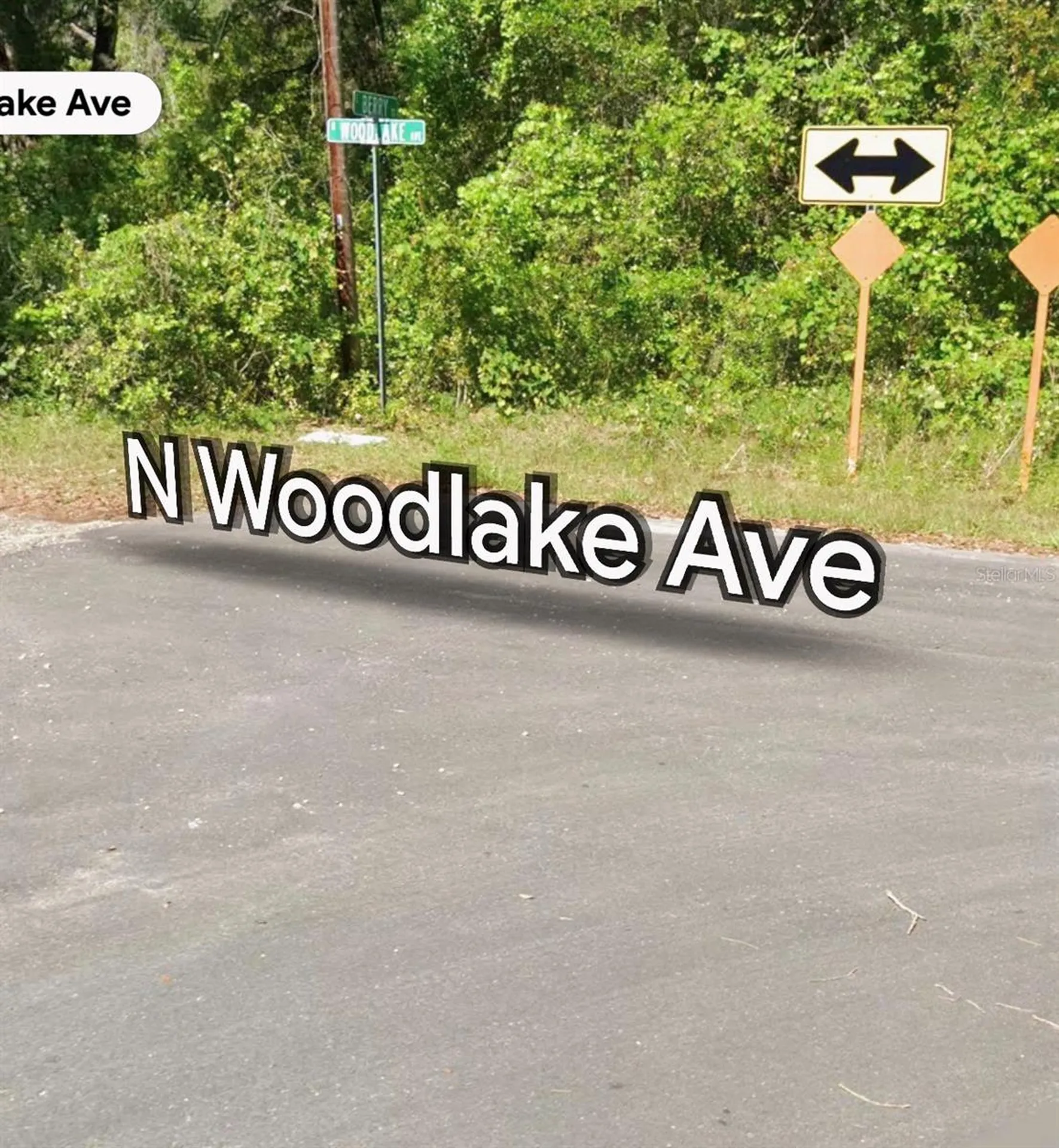 408 N Woodlake Avenue Inverness FL 34453