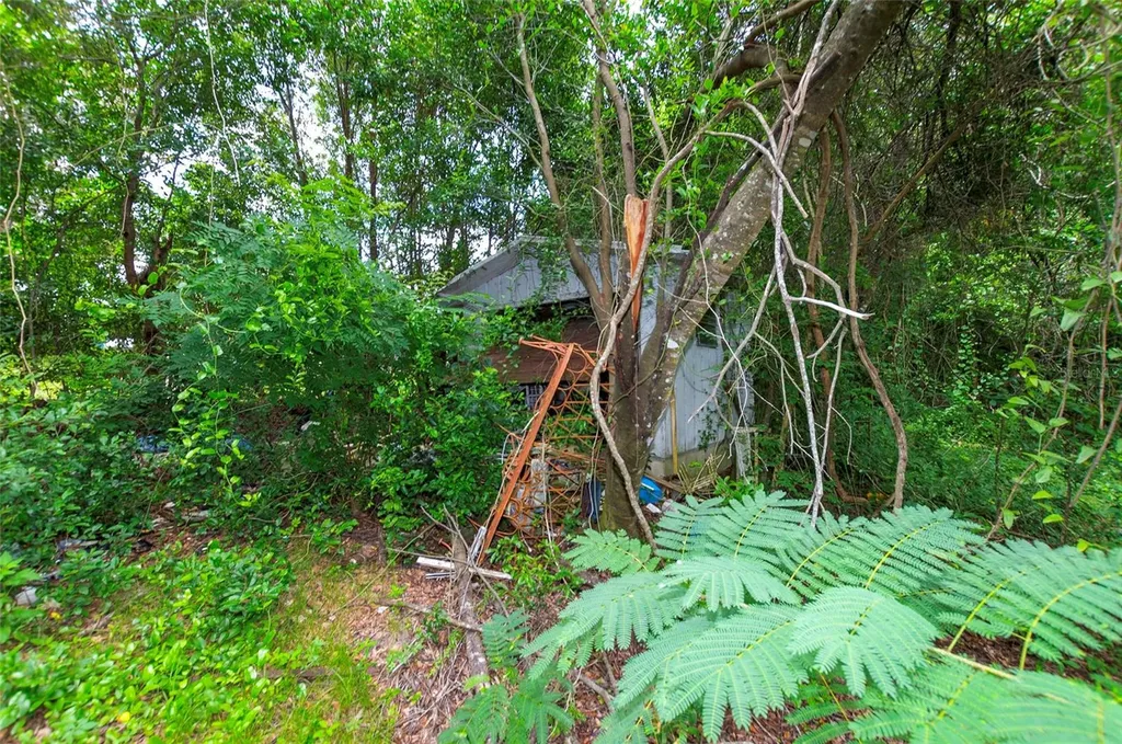 3596 W Ivy Street Dunnellon FL 34433