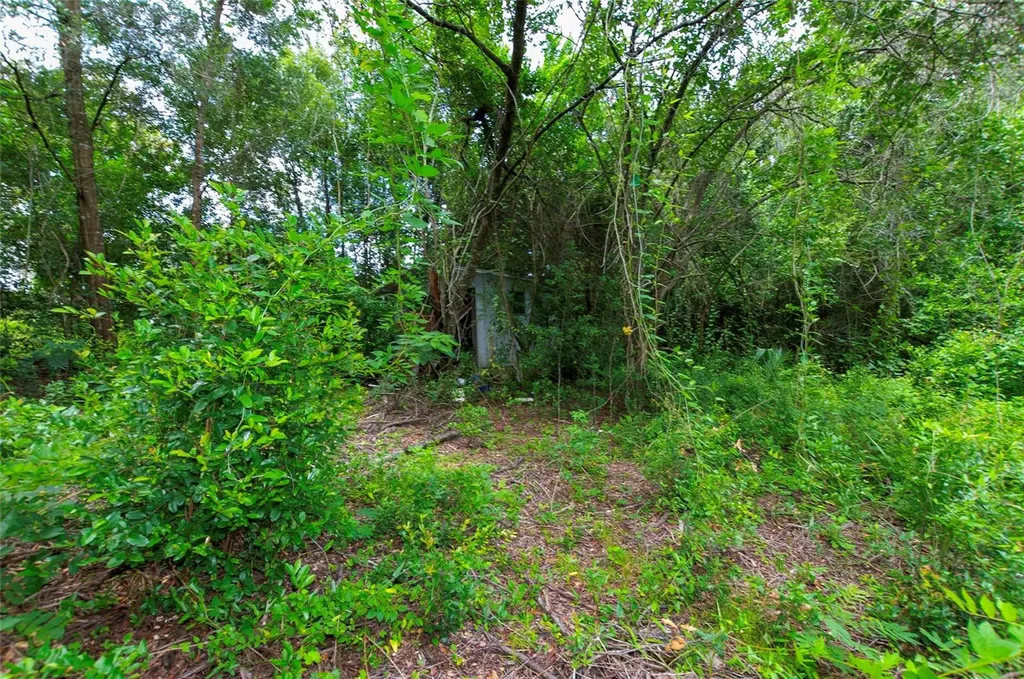 3596 W Ivy Street Dunnellon FL 34433