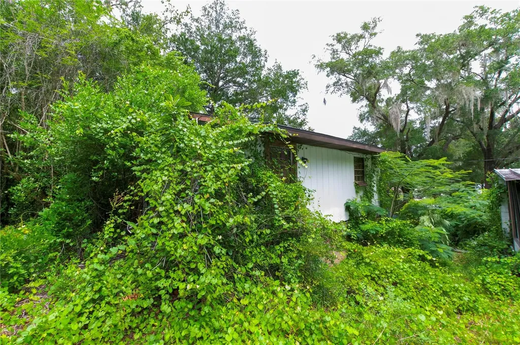 3596 W Ivy Street Dunnellon FL 34433