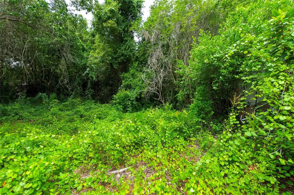3596 W Ivy Street Dunnellon FL 34433