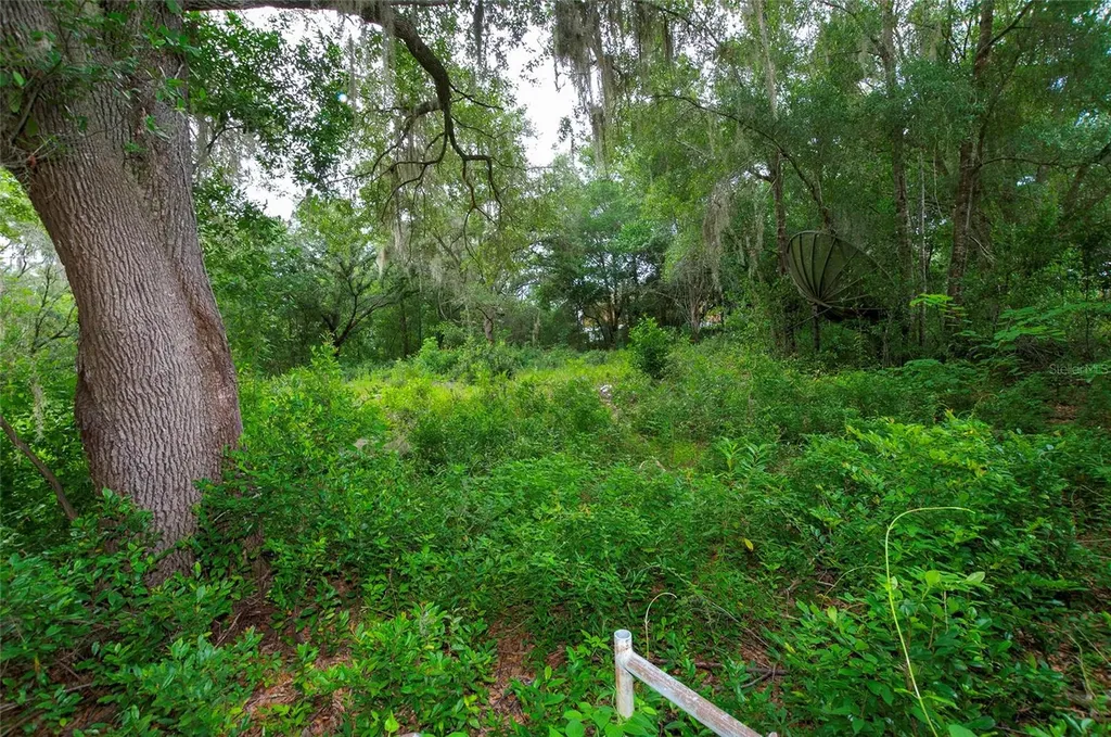 3596 W Ivy Street Dunnellon FL 34433