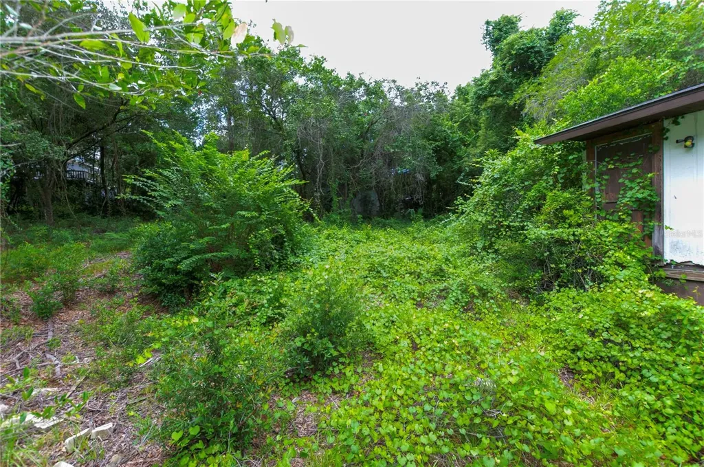 3596 W Ivy Street Dunnellon FL 34433
