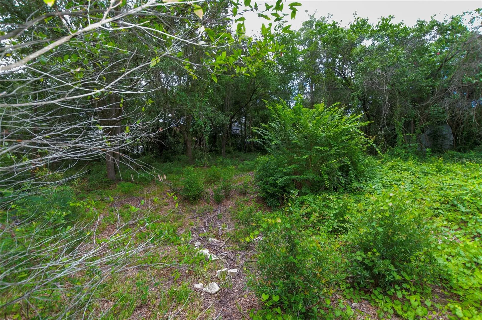 3596 W Ivy Street Dunnellon FL 34433