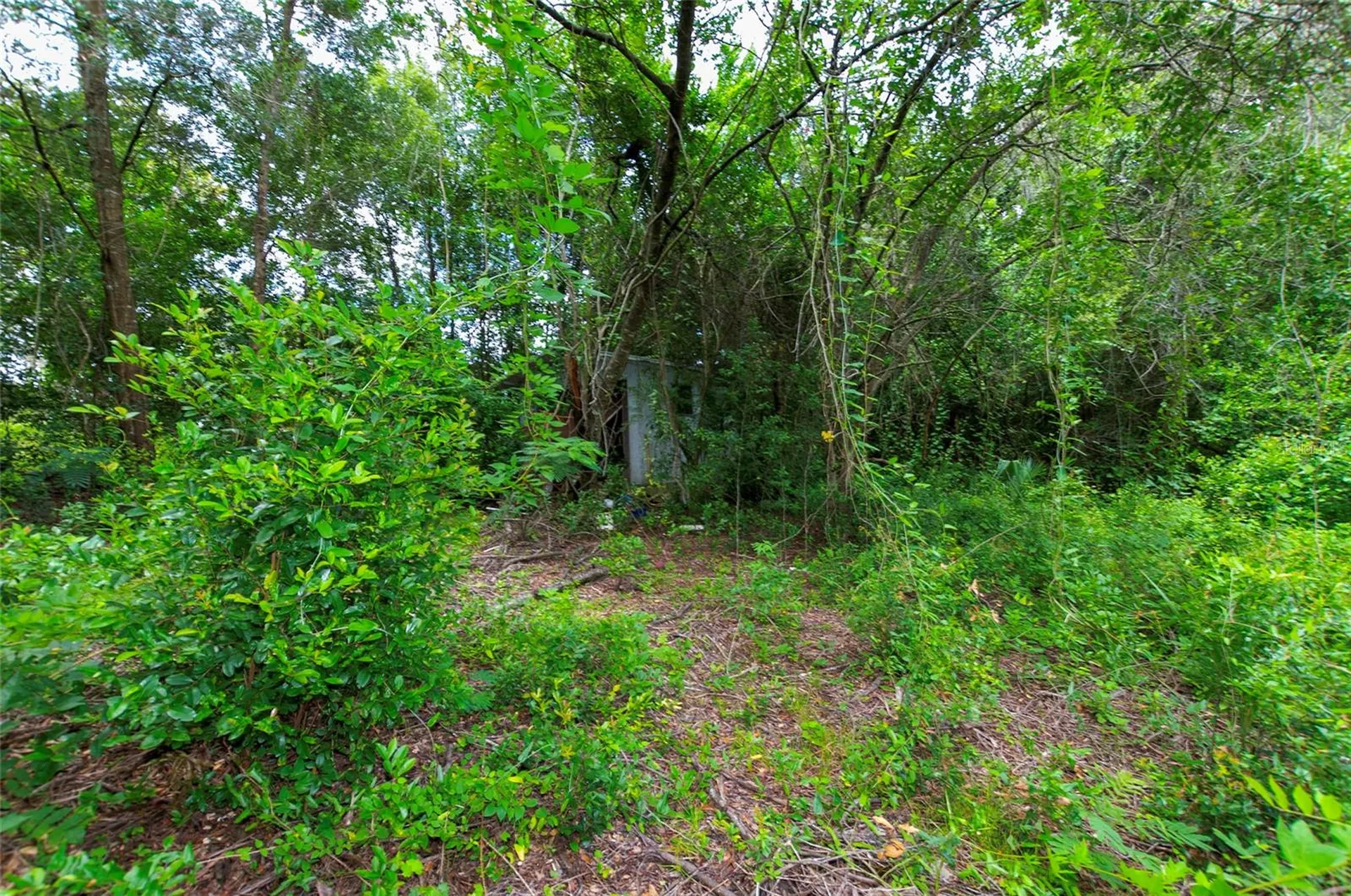 3596 W Ivy Street Dunnellon FL 34433