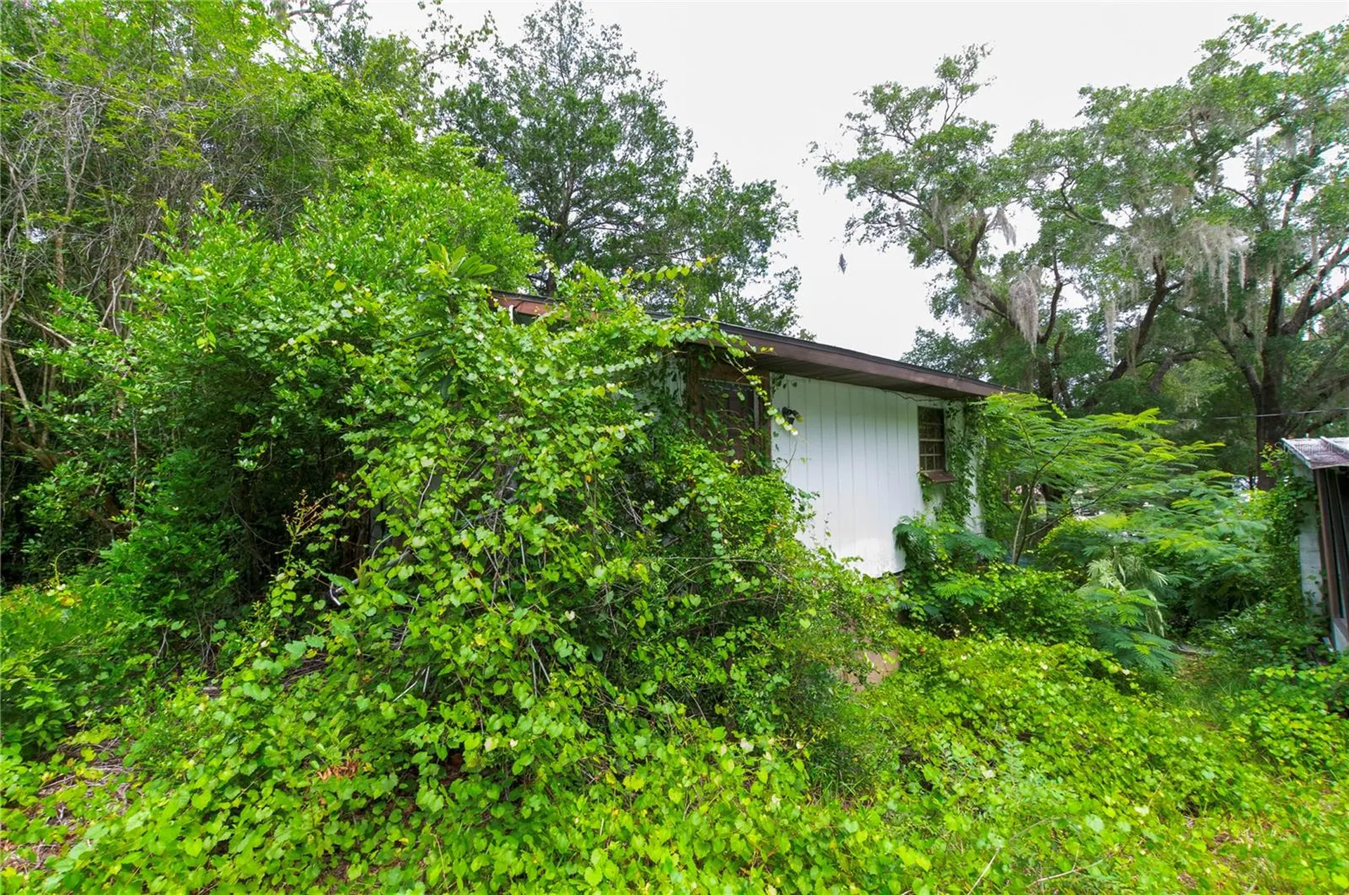 3596 W Ivy Street Dunnellon FL 34433