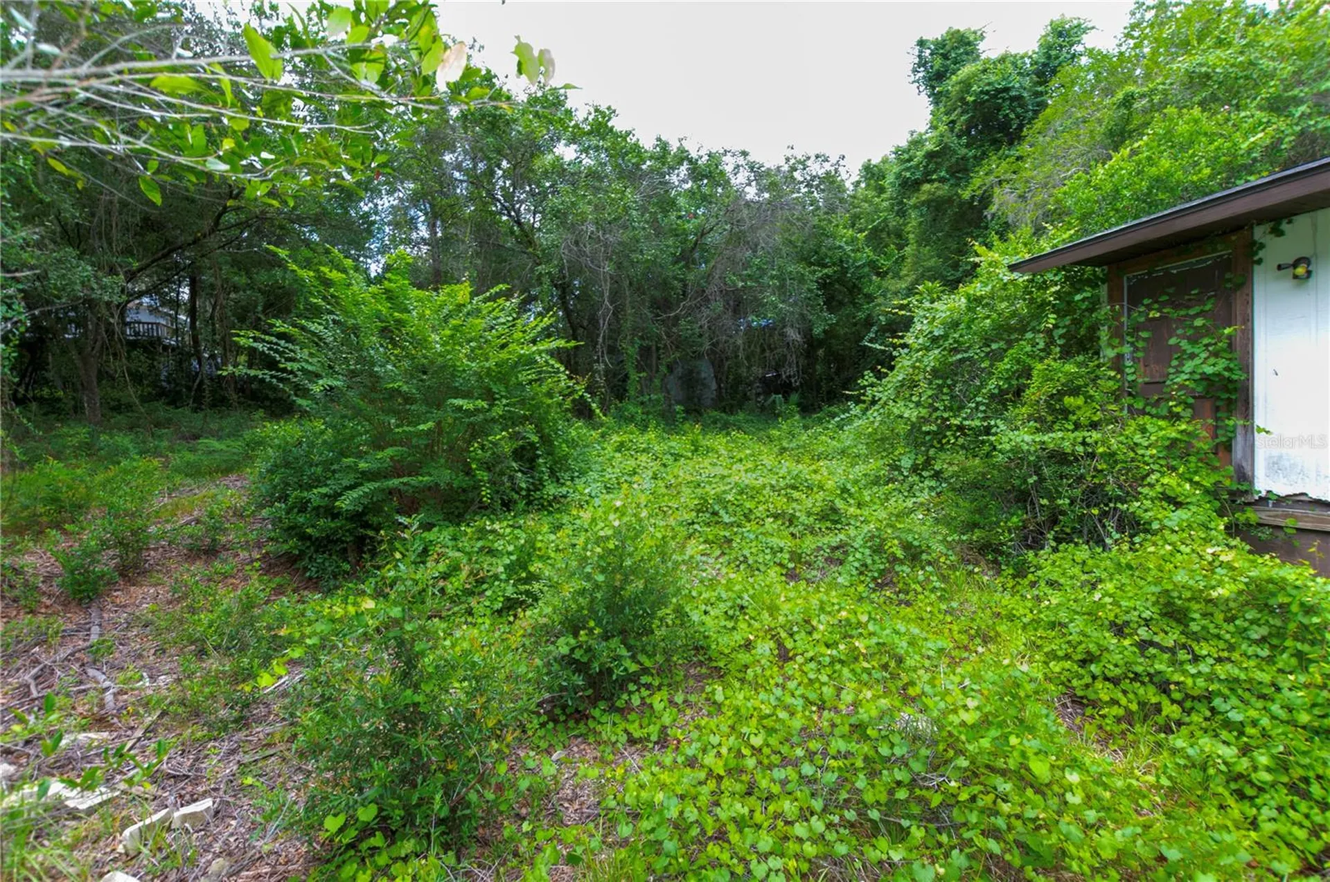 3596 W Ivy Street Dunnellon FL 34433
