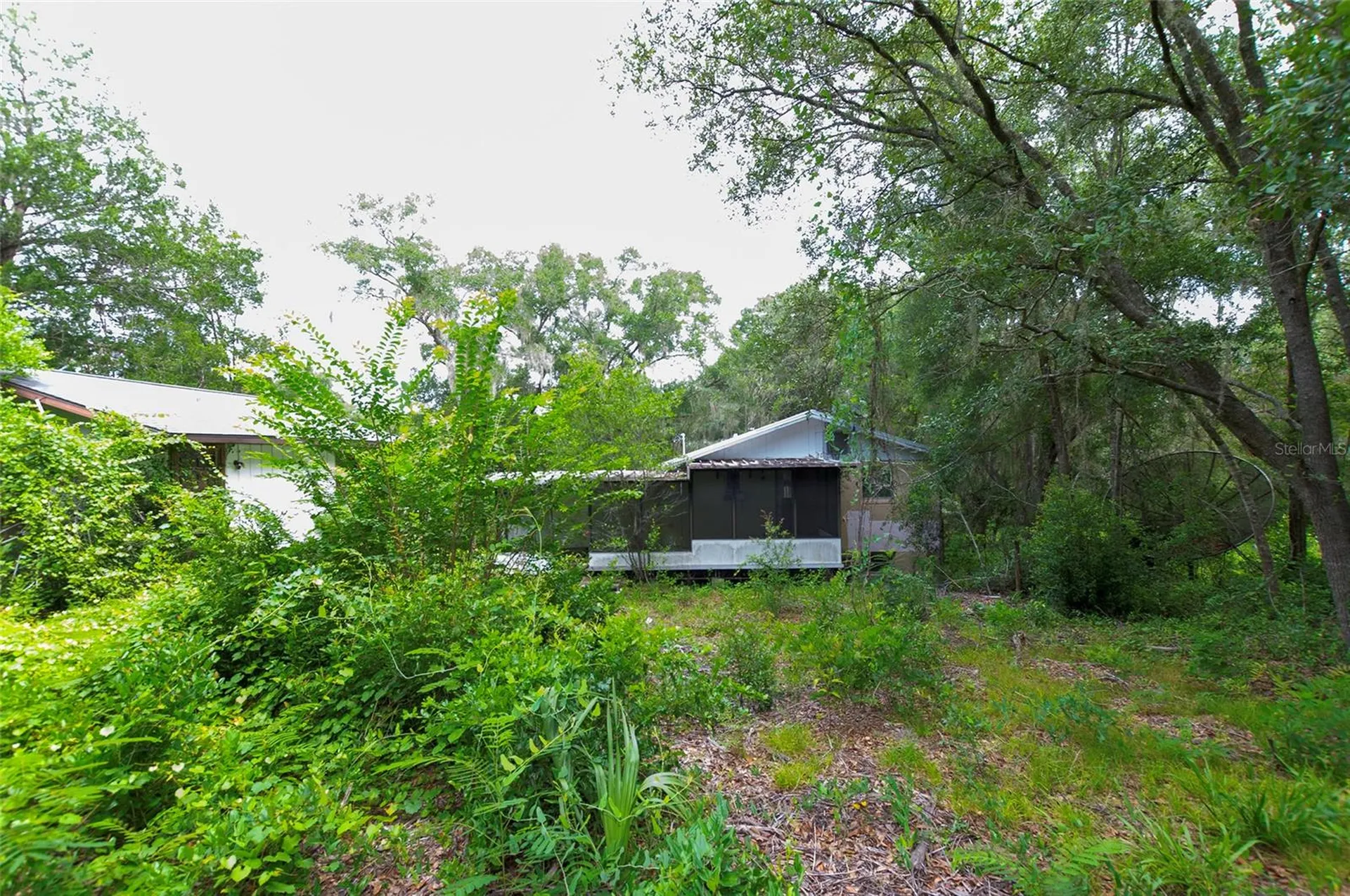 3596 W Ivy Street Dunnellon FL 34433
