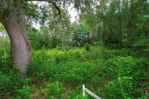 3596 W Ivy Street Dunnellon FL 34433