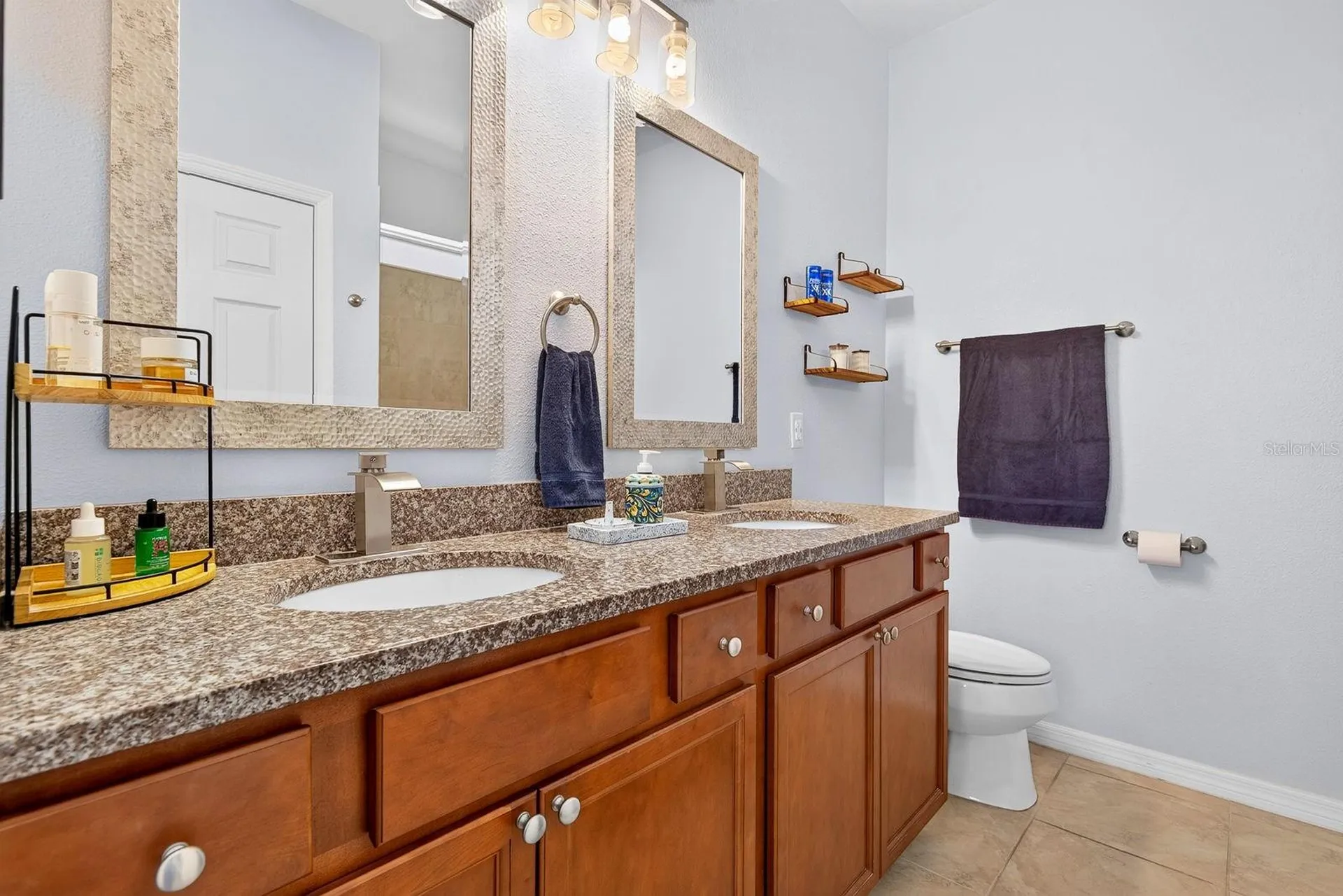 1407 Custer Bayou Street Ruskin FL 33570