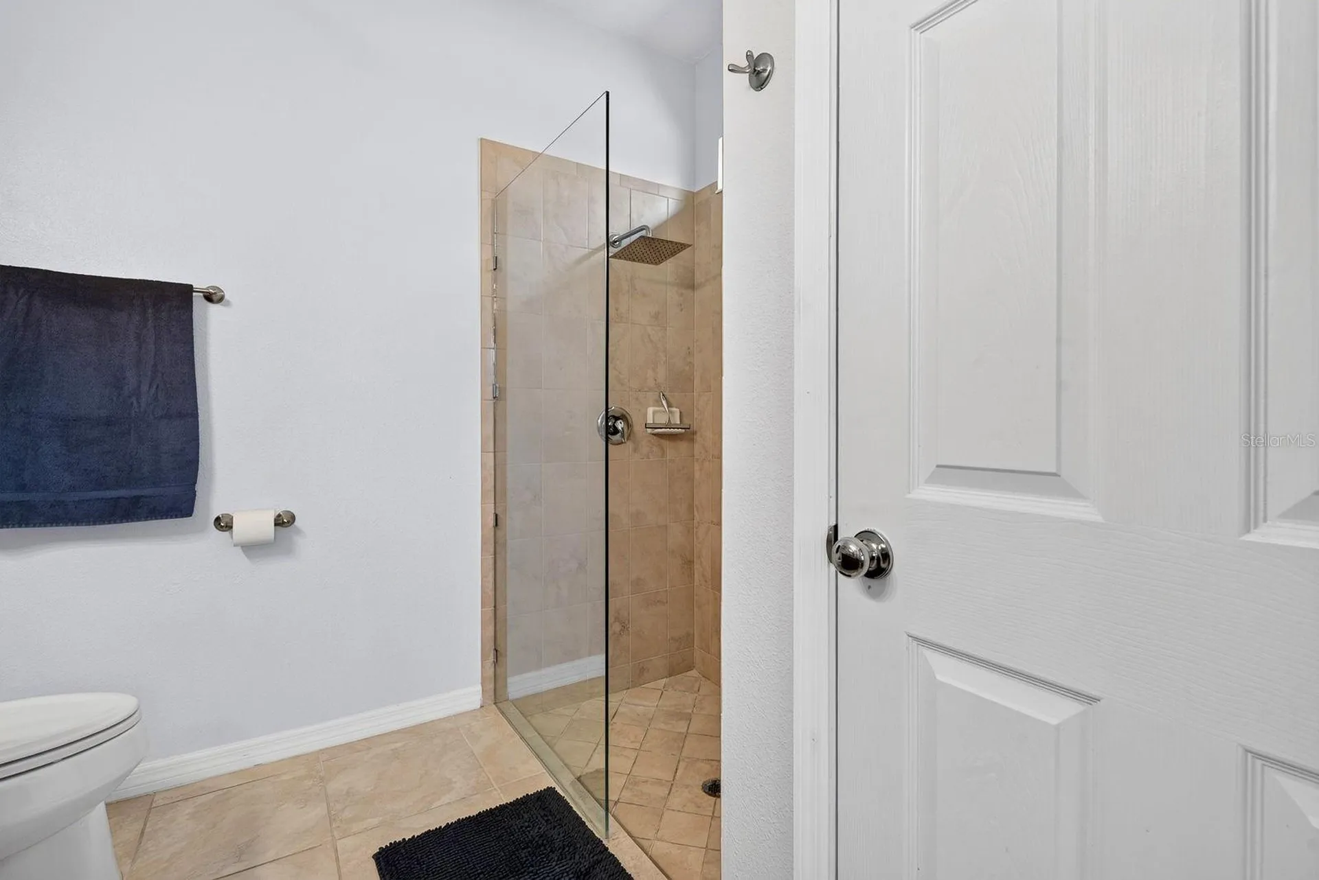 1407 Custer Bayou Street Ruskin FL 33570