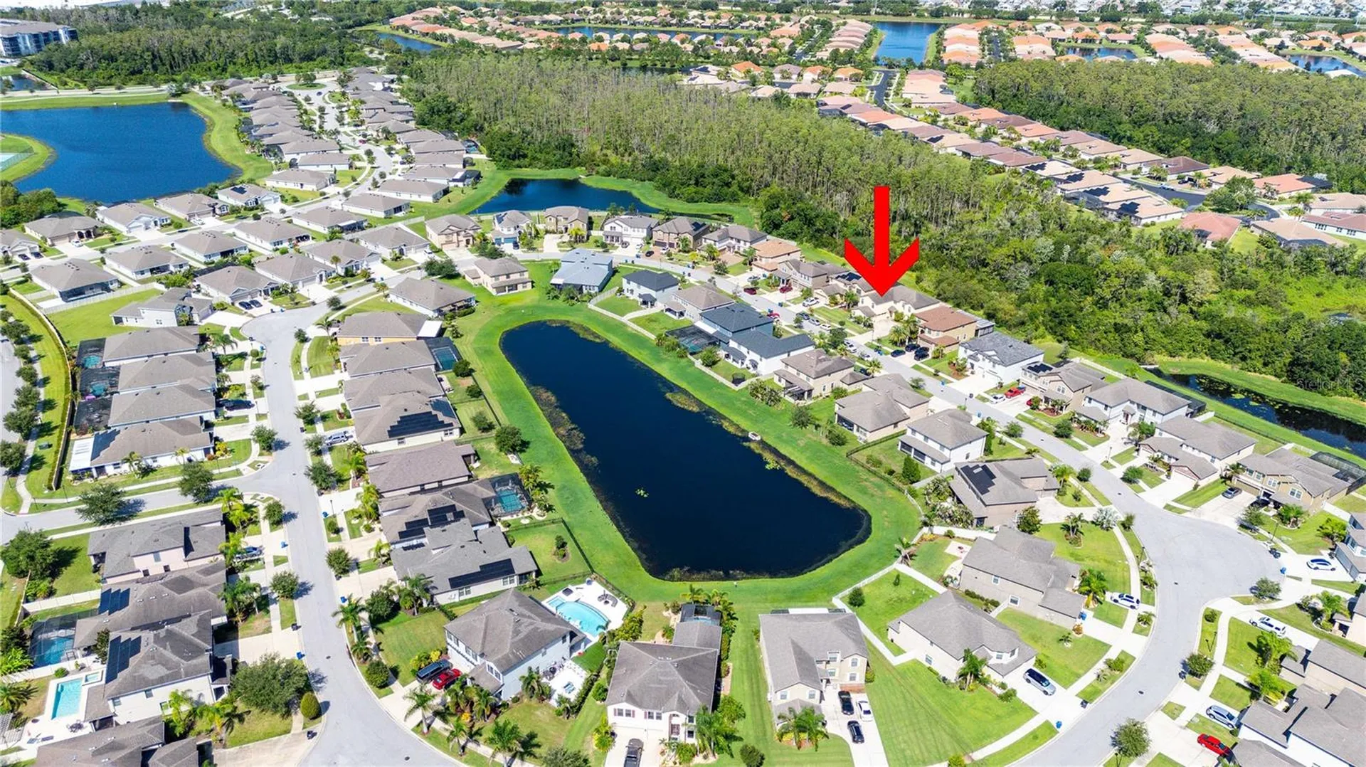 5049 Ivory Stone Drive Wimauma FL 33598