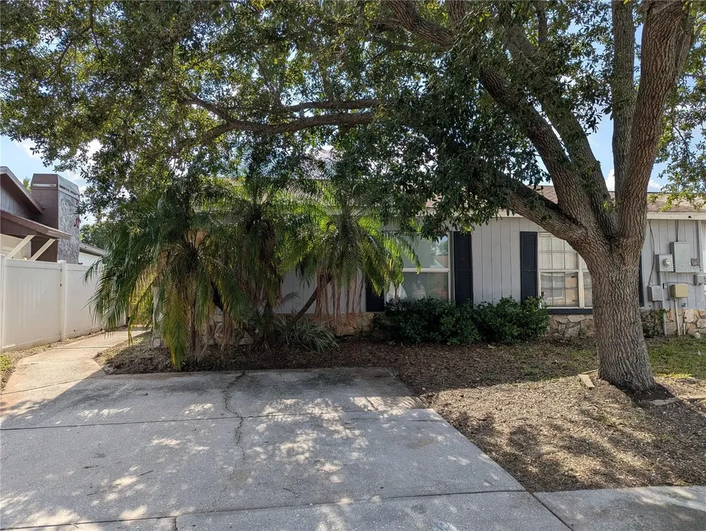 1209 Mohrlake Drive Brandon FL 33511