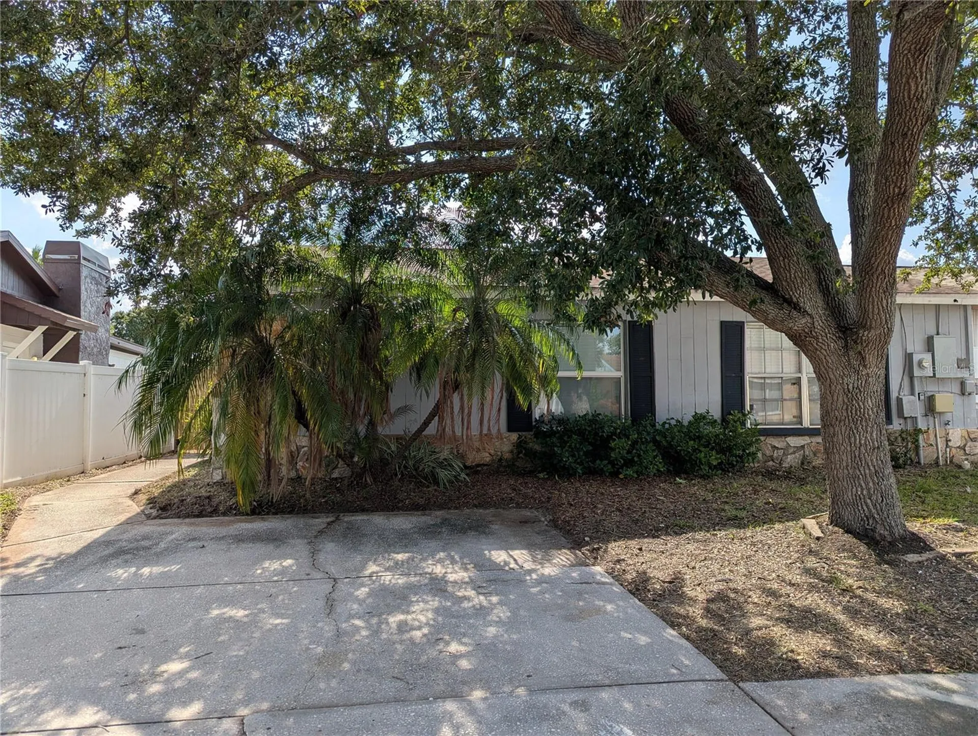 1209 Mohrlake Drive Brandon FL 33511