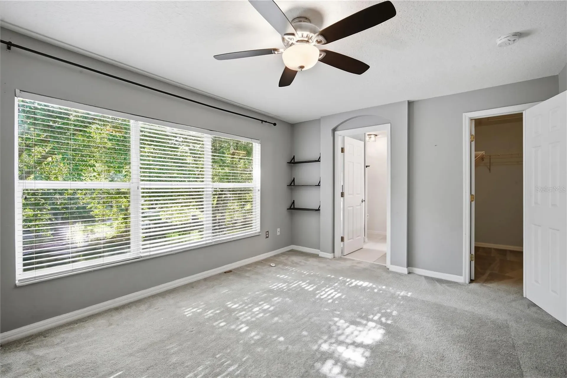 11019 Blaine Top Place Tampa FL 33626