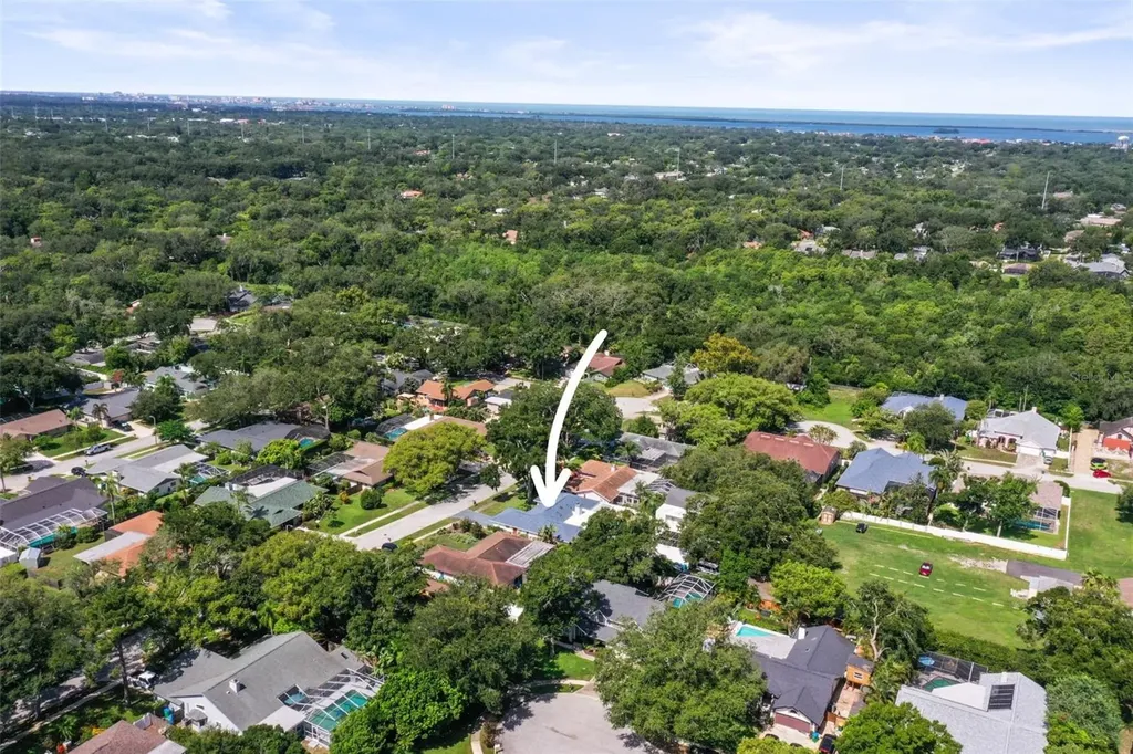 1981 Castille Drive Dunedin FL 34698