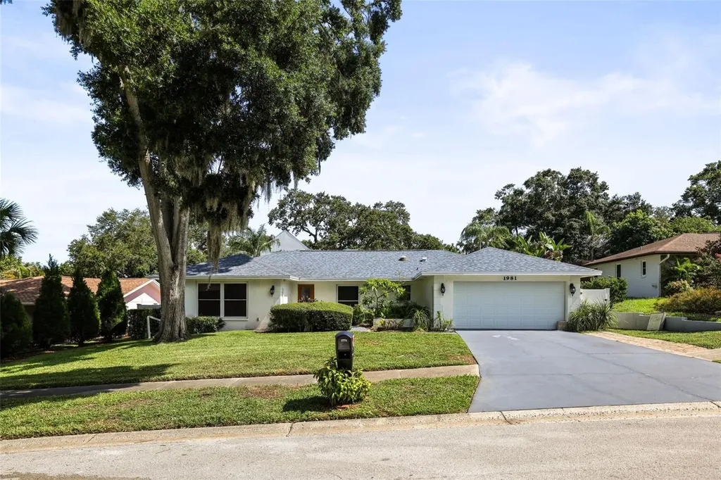1981 Castille Drive Dunedin FL 34698