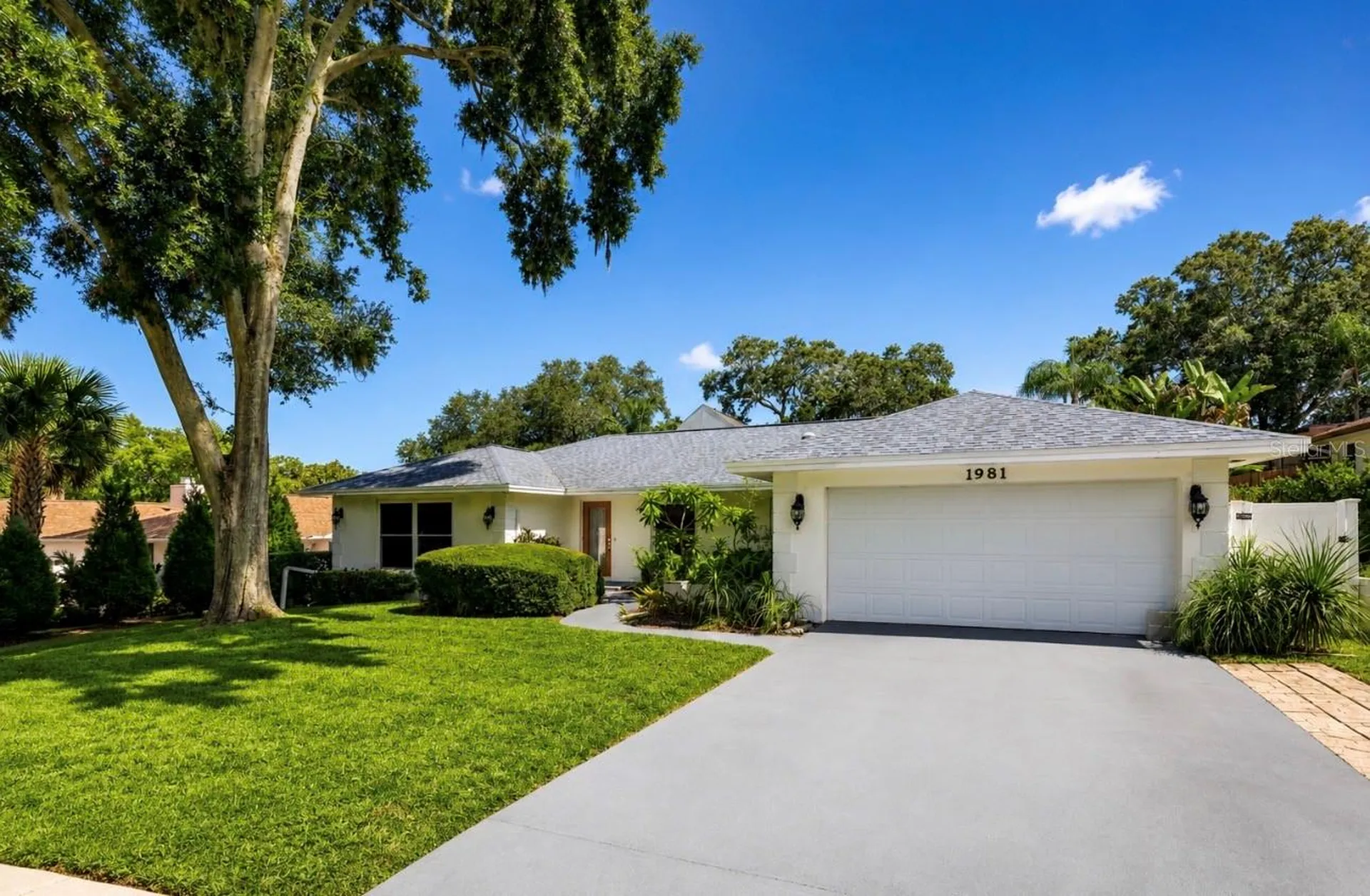 1981 Castille Drive Dunedin FL 34698