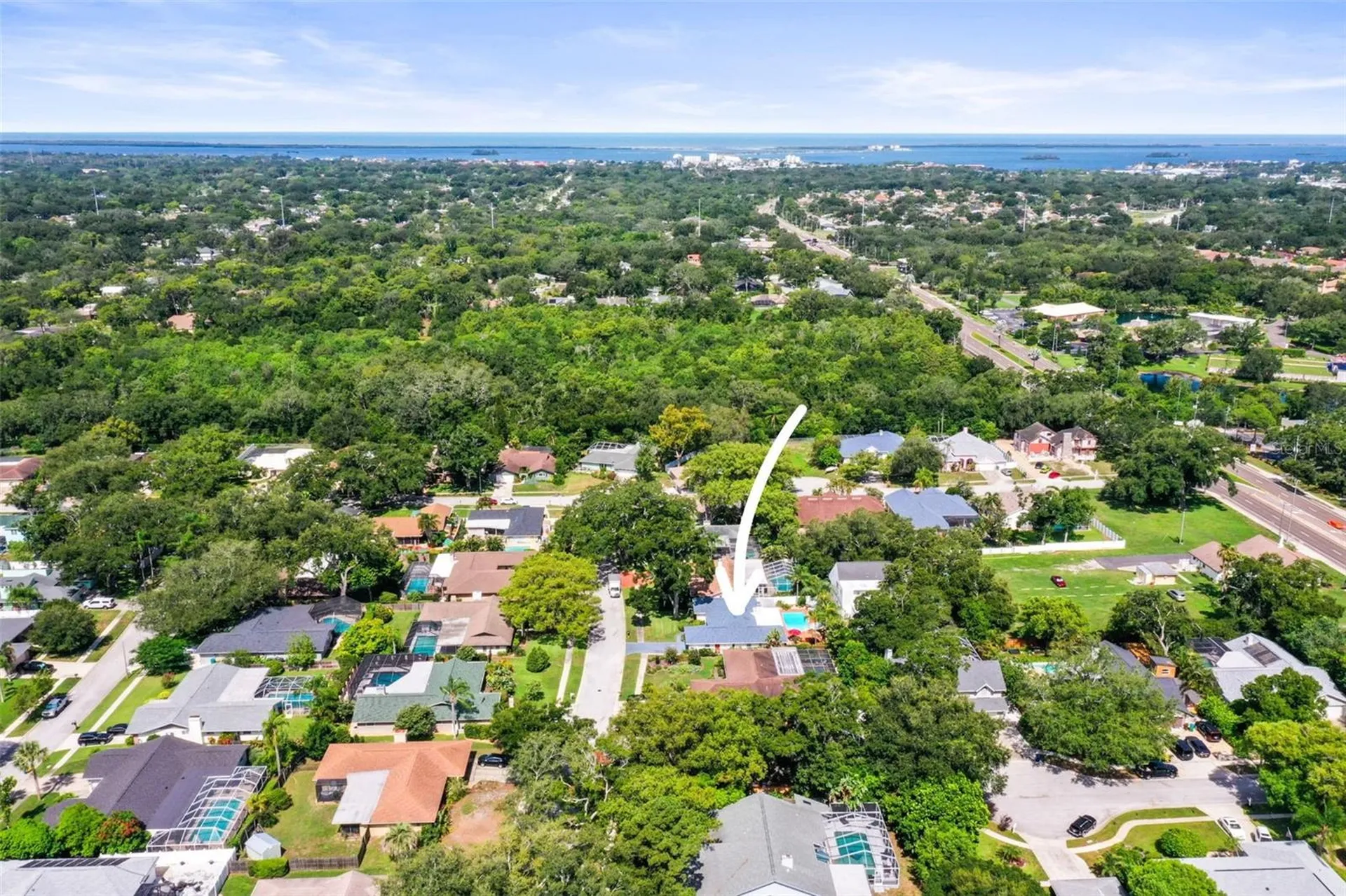 1981 Castille Drive Dunedin FL 34698
