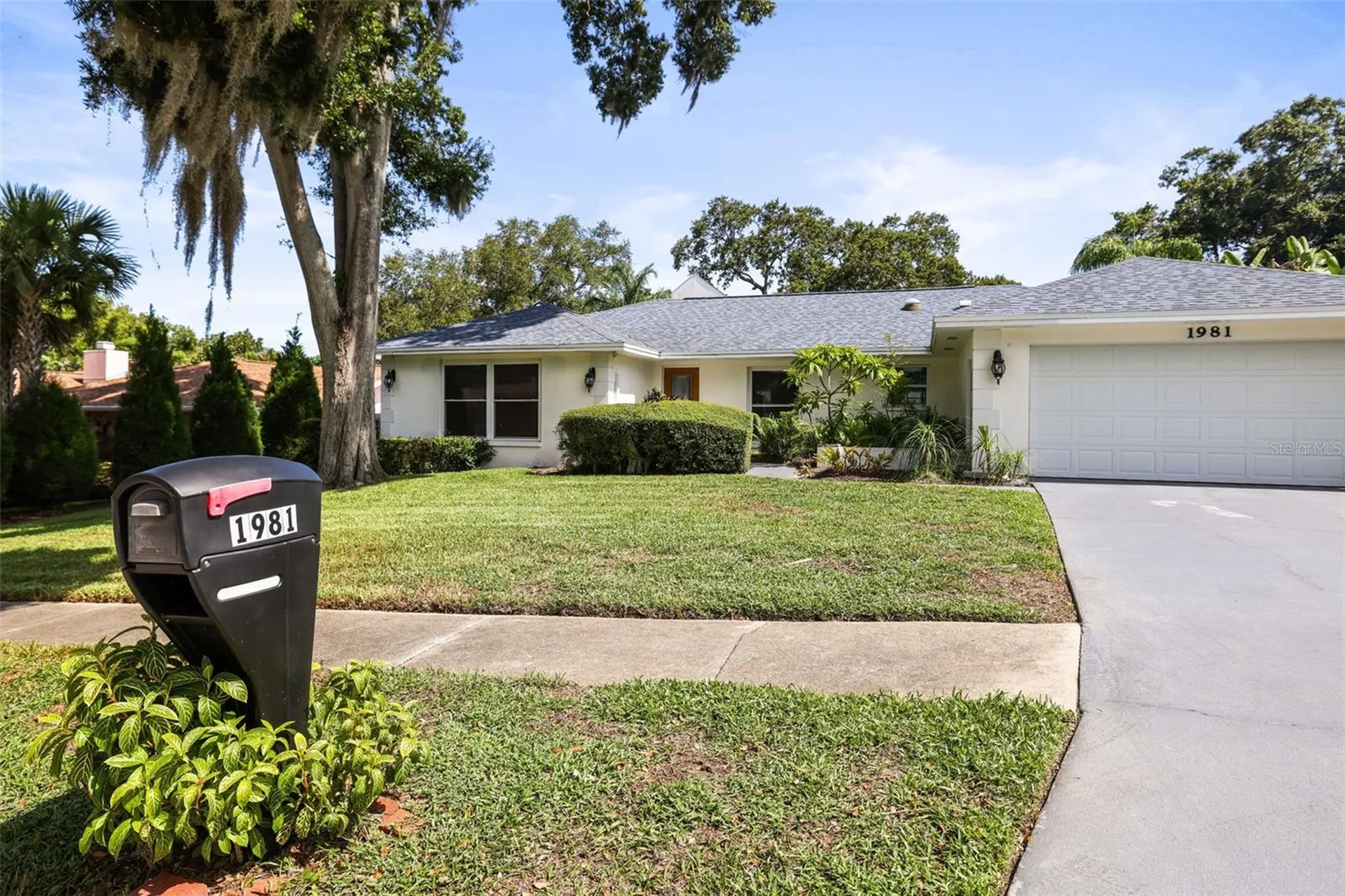 1981 Castille Drive Dunedin FL 34698