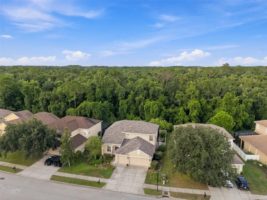 11507 Belle Haven Drive New Port Richey FL 34654