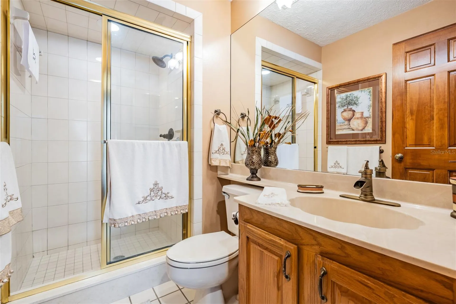 13203 Spindlewyck Cove Riverview FL 33569