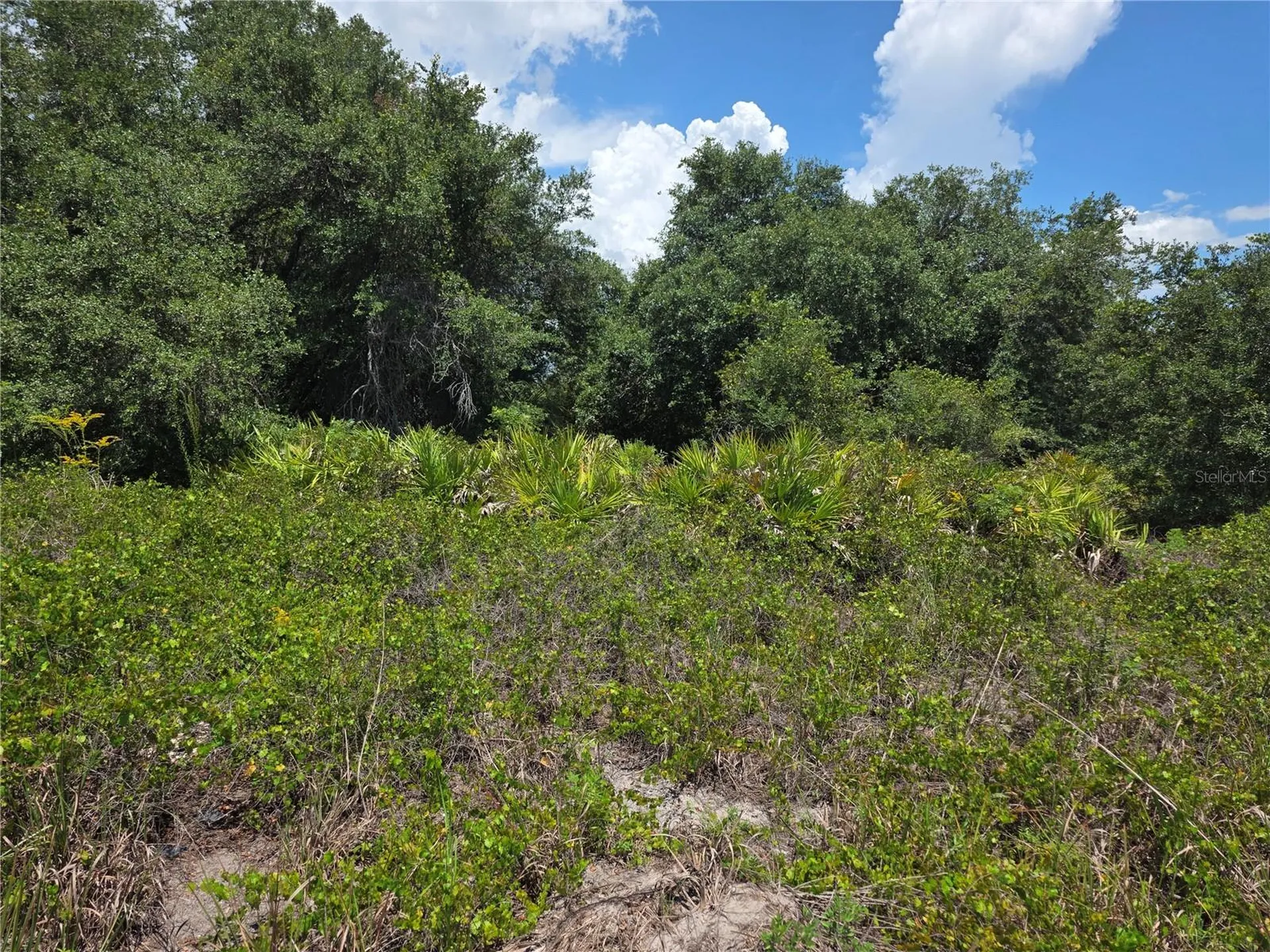 1297 Sulstone Drive Punta Gorda FL 33983