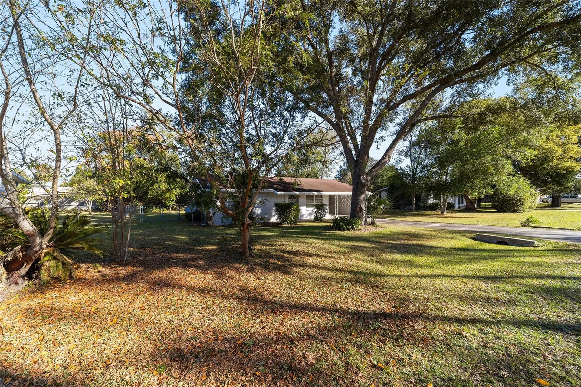 21529 SW Honeysuckle Street Dunnellon FL 34431