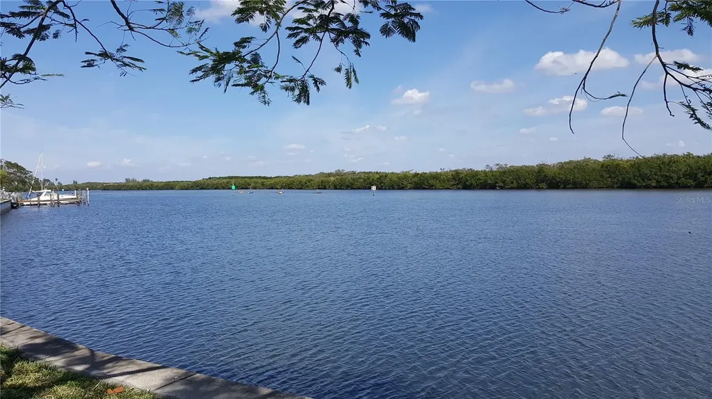 3259 Mangrove Point Drive Ruskin FL 33570