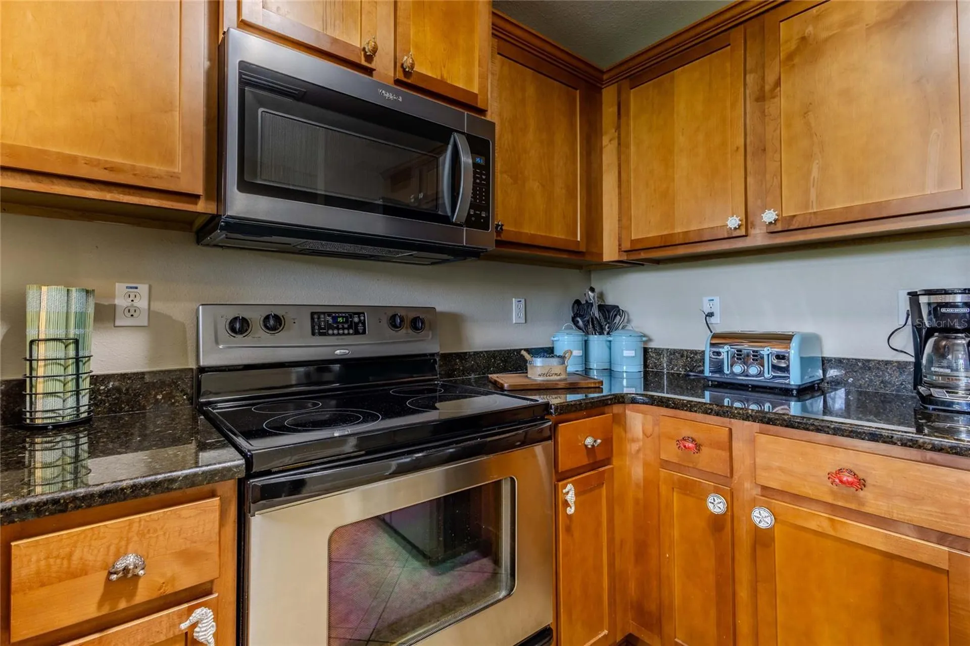 3259 Mangrove Point Drive Ruskin FL 33570