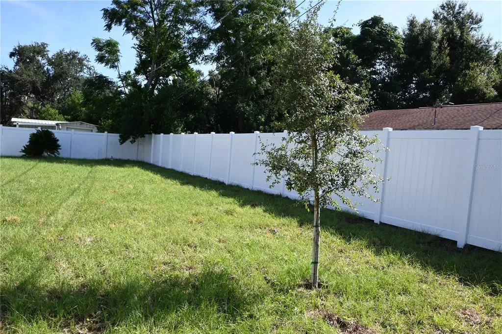 1103 Alpine Drive Brandon FL 33510