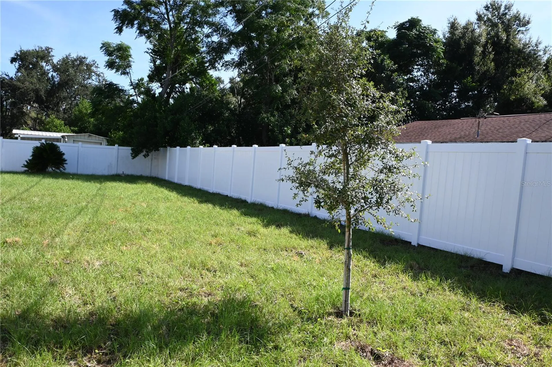 1103 Alpine Drive Brandon FL 33510