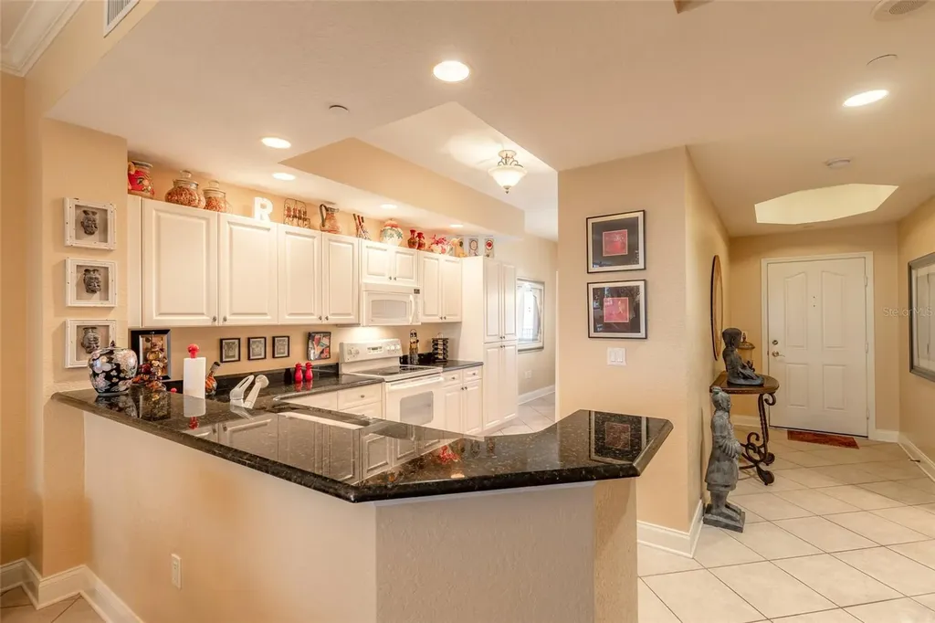 263 Minorca Beach Way New Smyrna Beach FL 32169