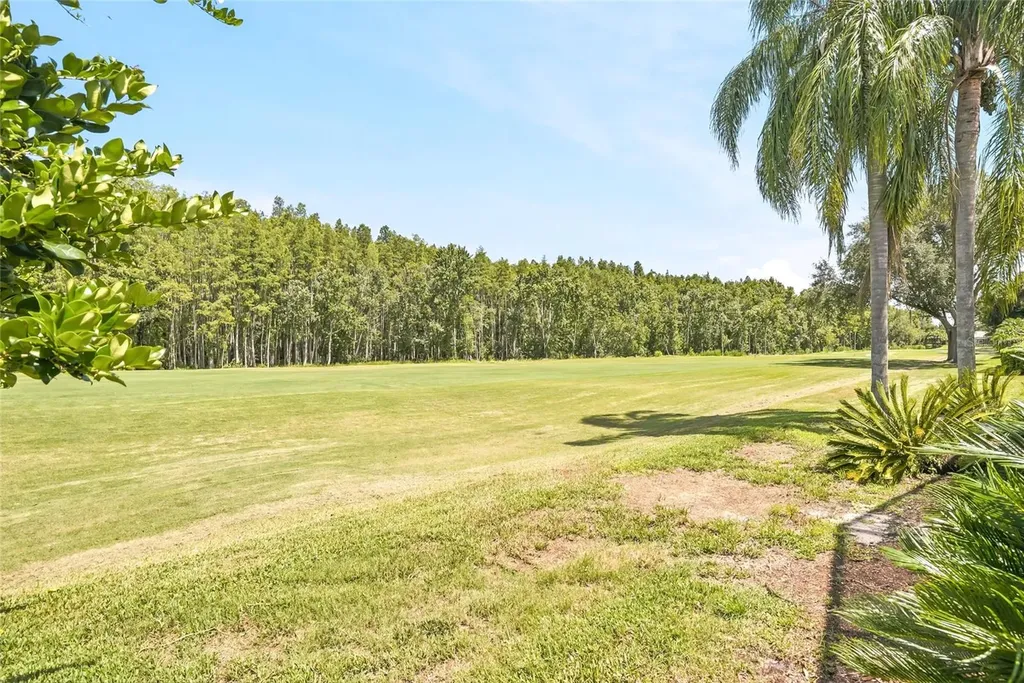 18912 Place Marquette Lutz FL 33558