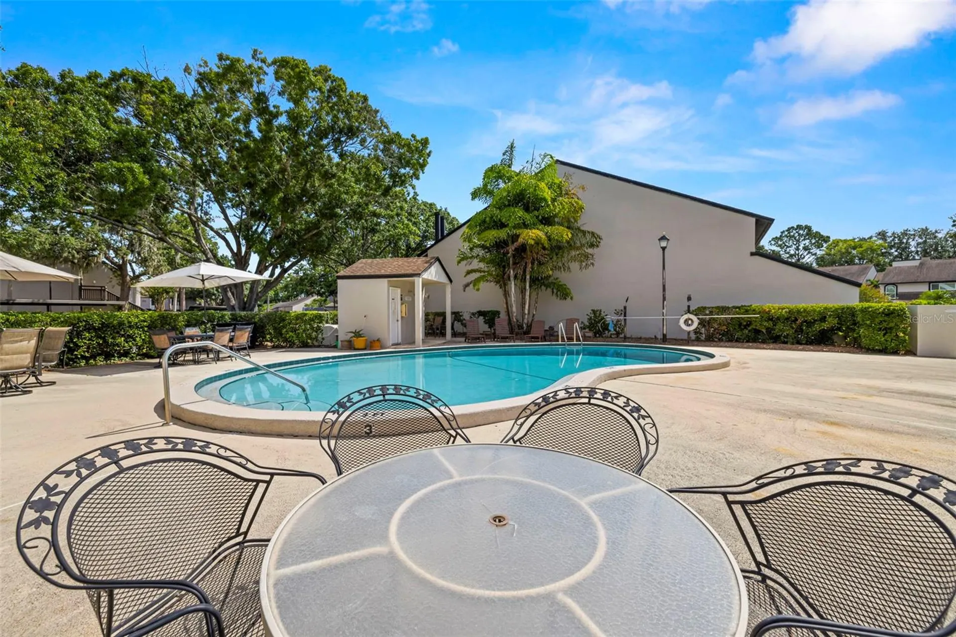 4205 Arborwood Lane Tampa FL 33618