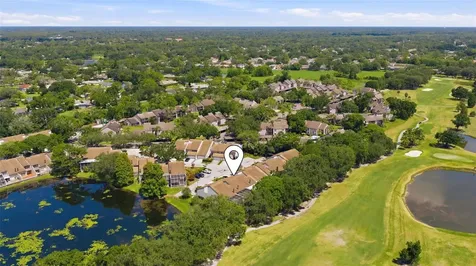 4205 Arborwood Lane Tampa FL 33618