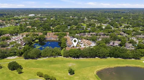 4205 Arborwood Lane Tampa FL 33618