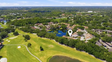 4205 Arborwood Lane Tampa FL 33618