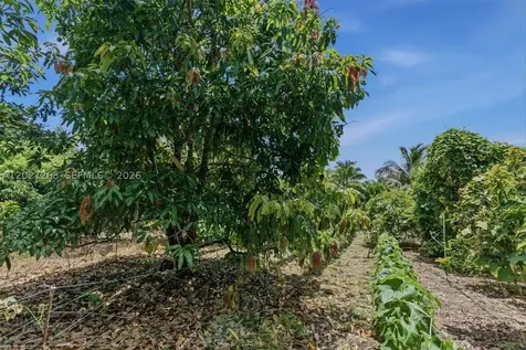 25800 SW 199th Avenue Homestead FL 33031
