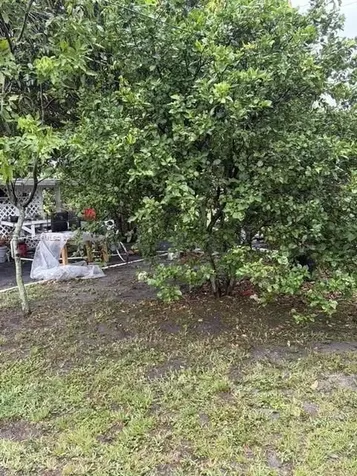 336 E 41st Street Hialeah FL 33013