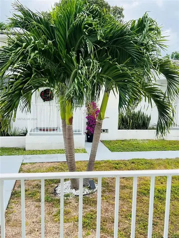 850 81st Street Miami Beach FL 33141