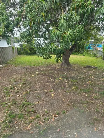 315 NW 53rd Street Miami FL 33127